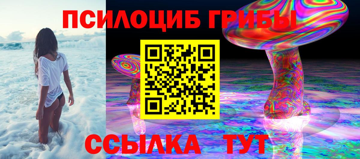 Фурманов  Псилоцибиновые грибы мицелий  Вход с VPN 